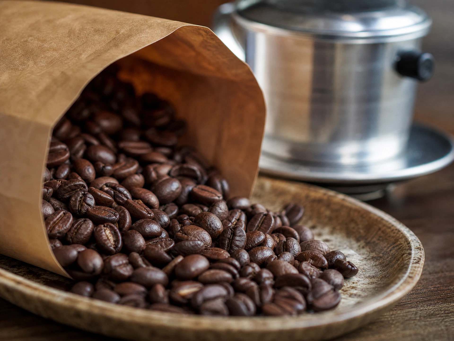 Close-up of Vietnamese robusta beans — buy Vietnamese coffee beans in Vancouver